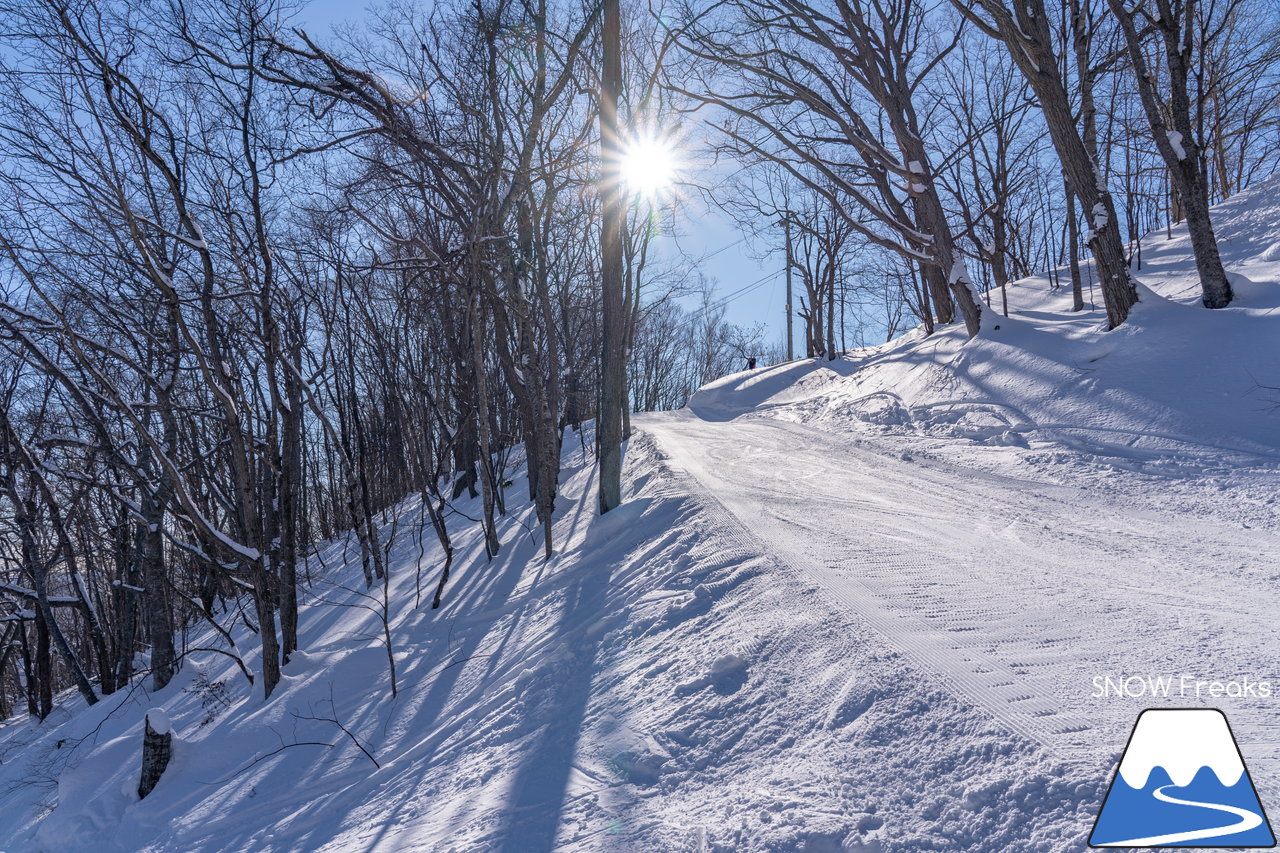 札幌藻岩山スキー場｜本日、雲一つ無い快晴！札幌藻岩山の全10コースの滑走にチャレンジ(^^)/